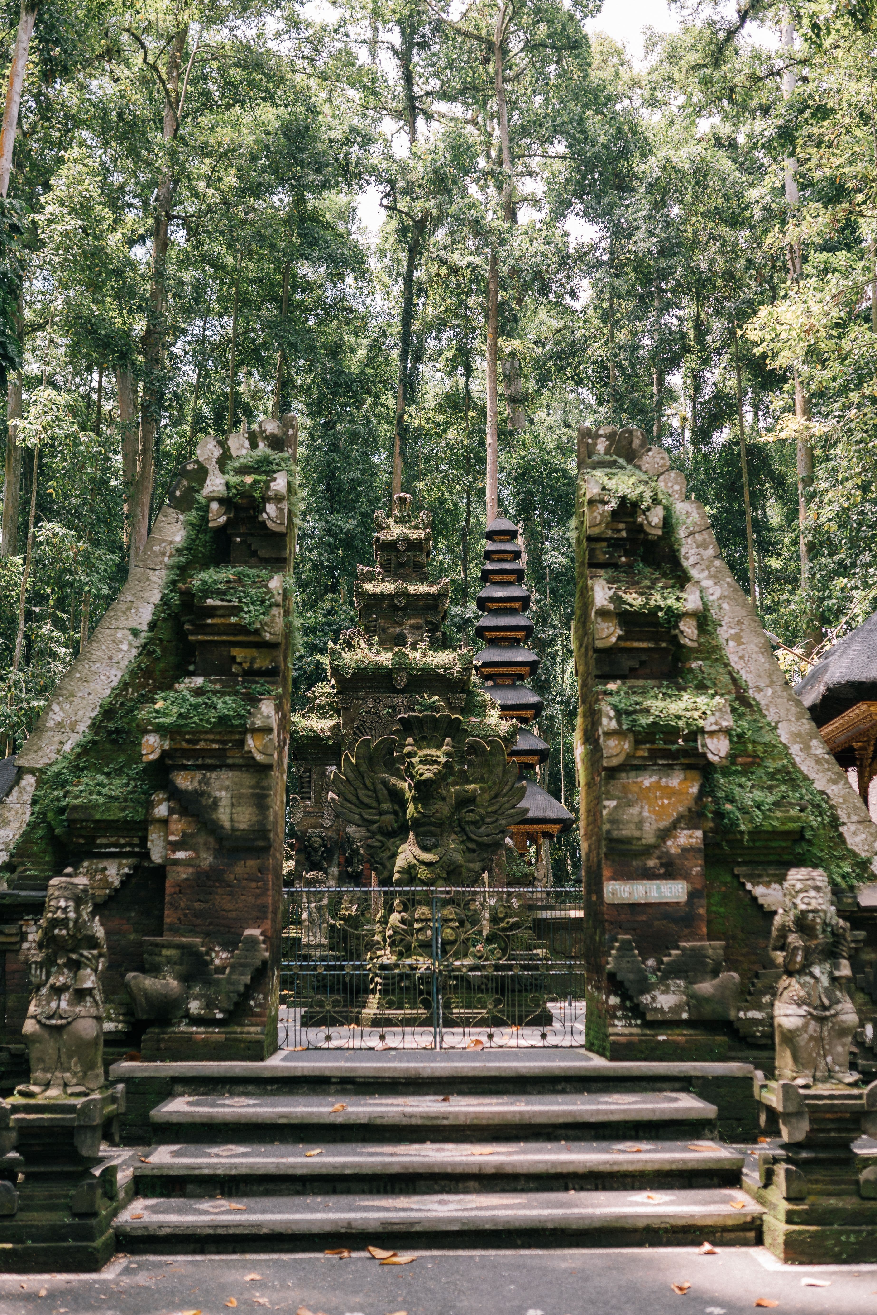 Sacred Monkey Forest Sanctuary
