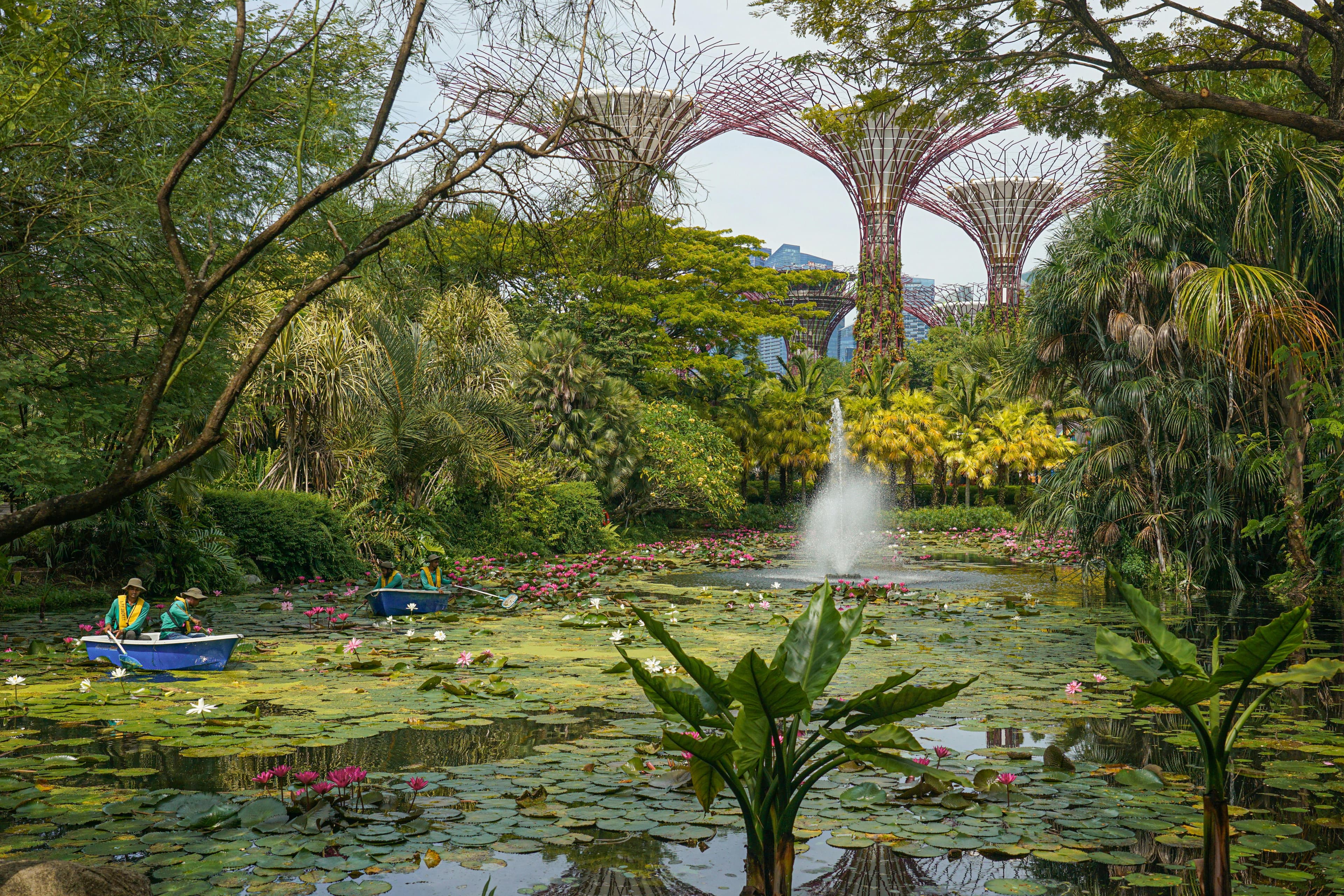 Gardens by the Bay